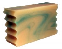 aloe-eucalyptus shampoo bar